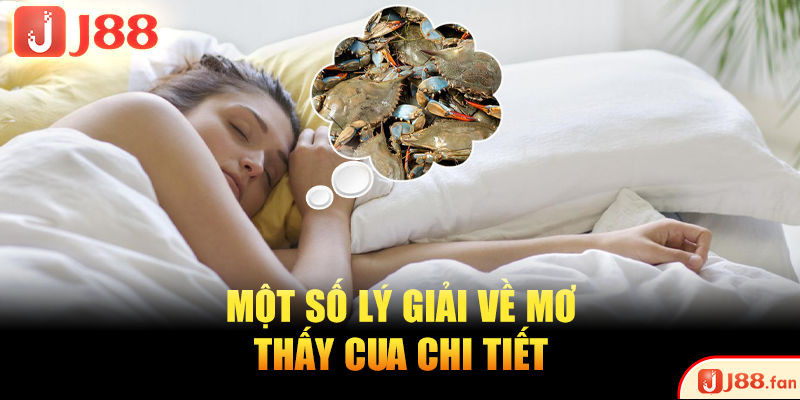 Một số lý giải về mơ thấy cua chi tiết